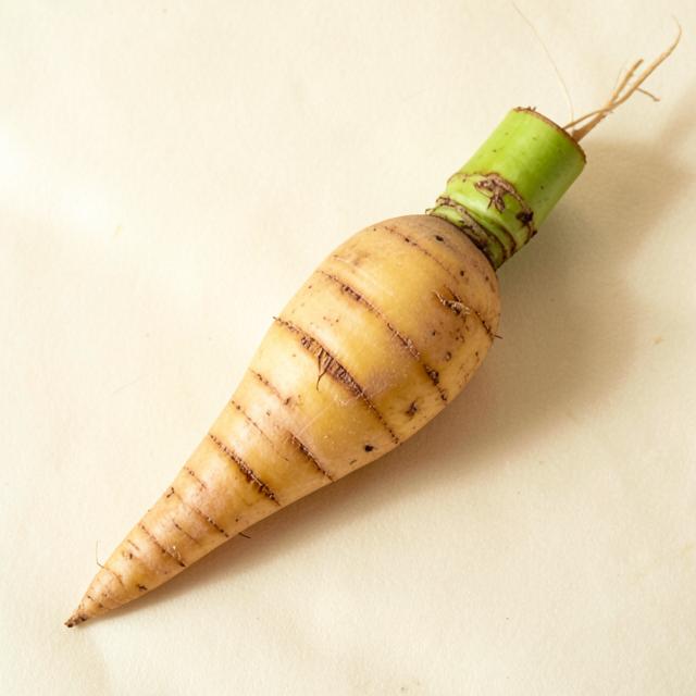 Elephant Yam (Suran) sourced and supplied by Agri Gate