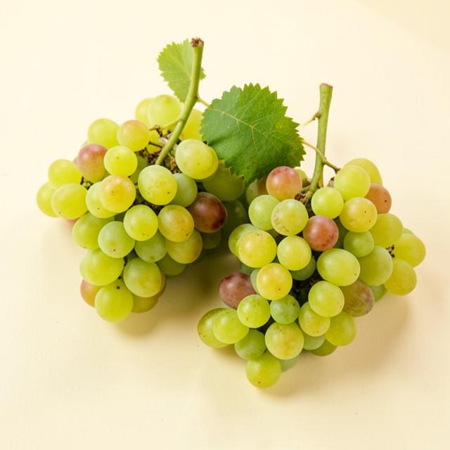Grapes sourced and supplied by Agri Gate